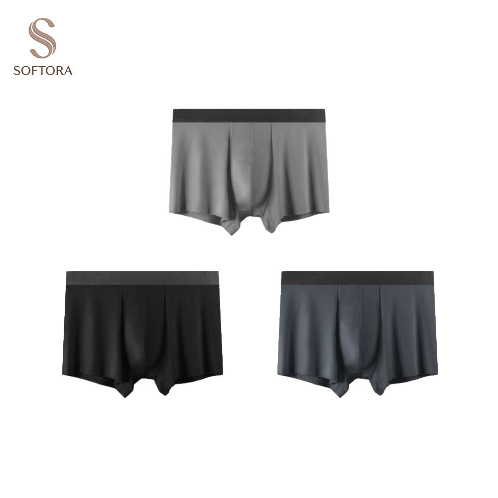 Graphene Antibacterial Modal Trunks Men